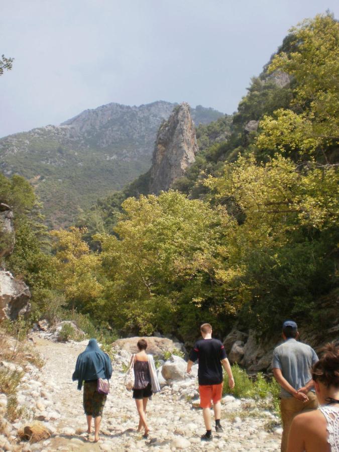 Zeytinada Pansiyon Ve Goezleme Guneykoy Kültér fotó